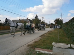 szuret16_22_20220219